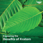 Exploring the Benefits of Kratom: Feel Free to Discover Nature’s Remedy