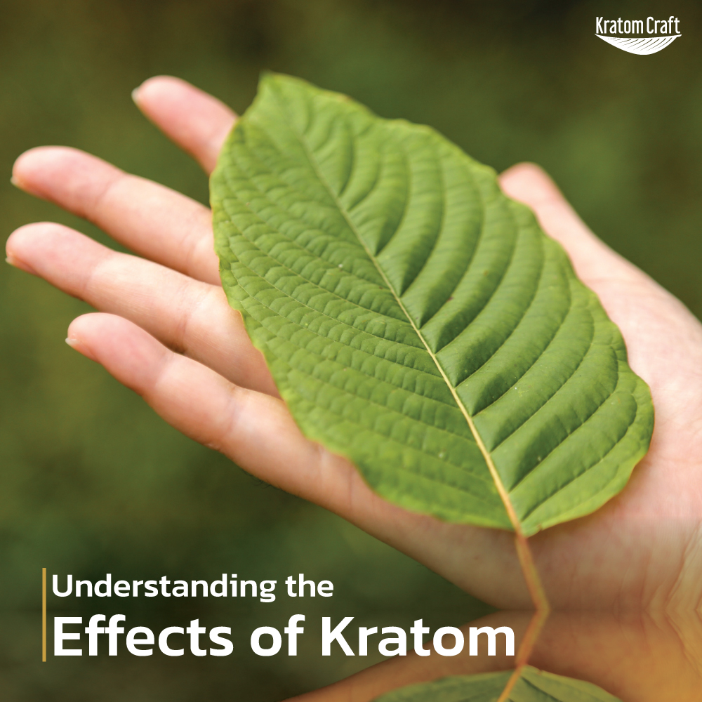 Understanding the Effects of Kratom: Unveiling Nature’s Influences