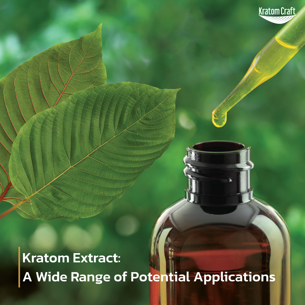 Kratom Extract: A Wide Range of Potential Applications