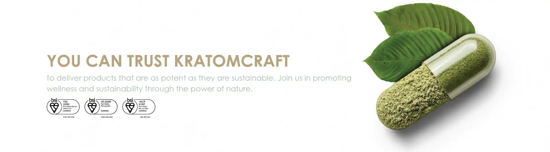 kratom craft banner